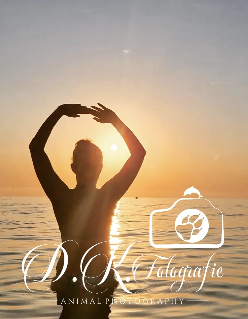 Bild von Desi im Meer bei Sonnenaufgang