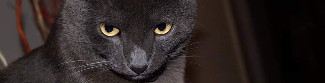 Smokey