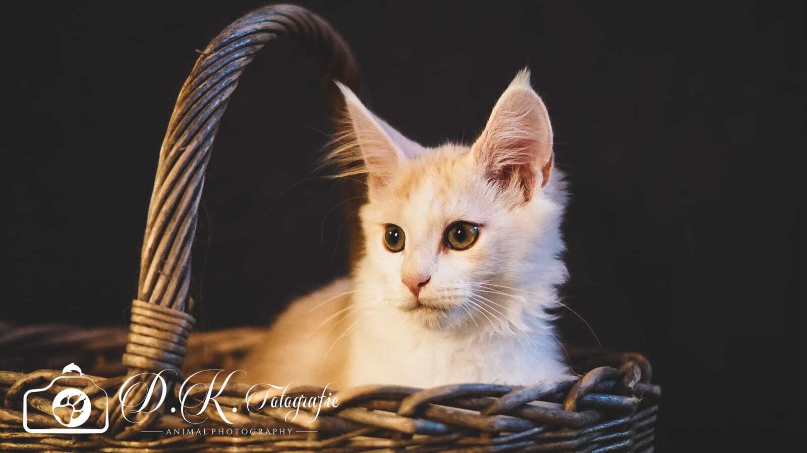 Nuria